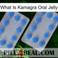 What Is Kamagra Oral Jelly 20